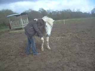 Jambette : Objectif casi atteint =D