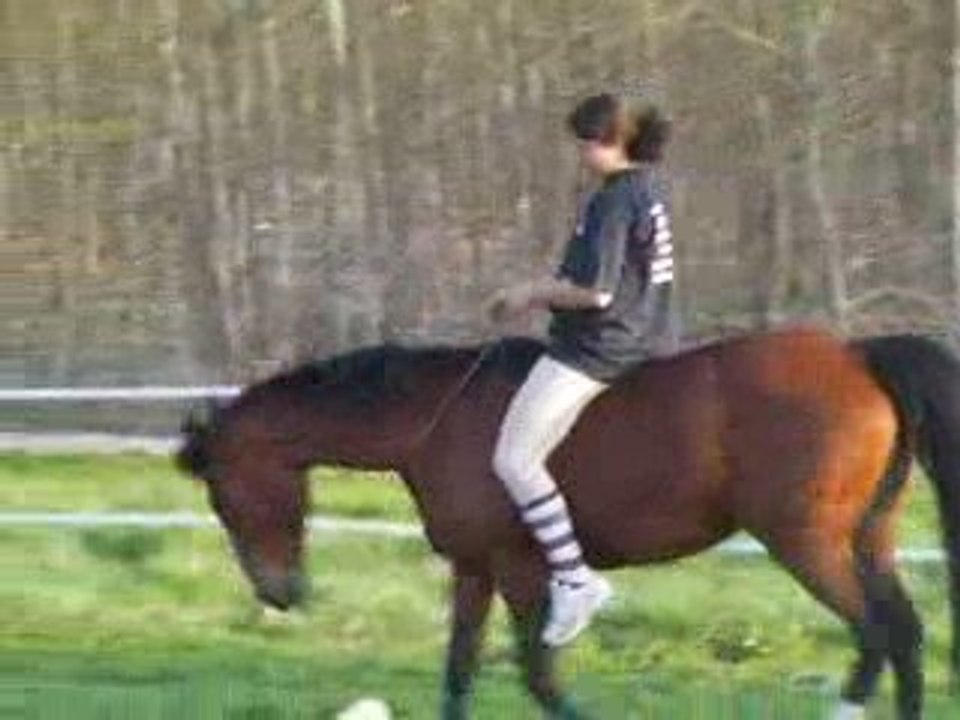 31/03/09 Partie montée 2