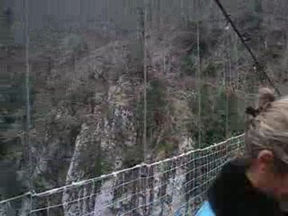 passerelle holzarte