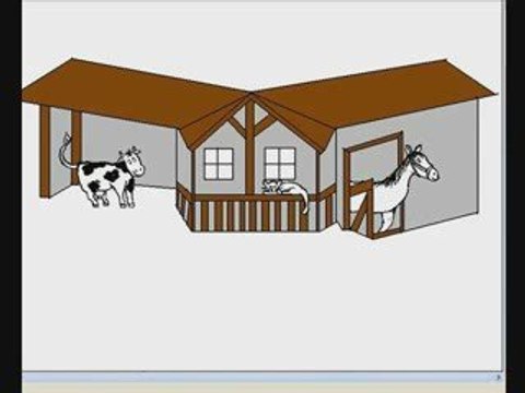 Polish lessons online. Polnisch lernen online und in Polen.