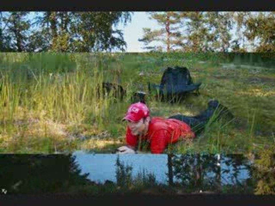Любовь