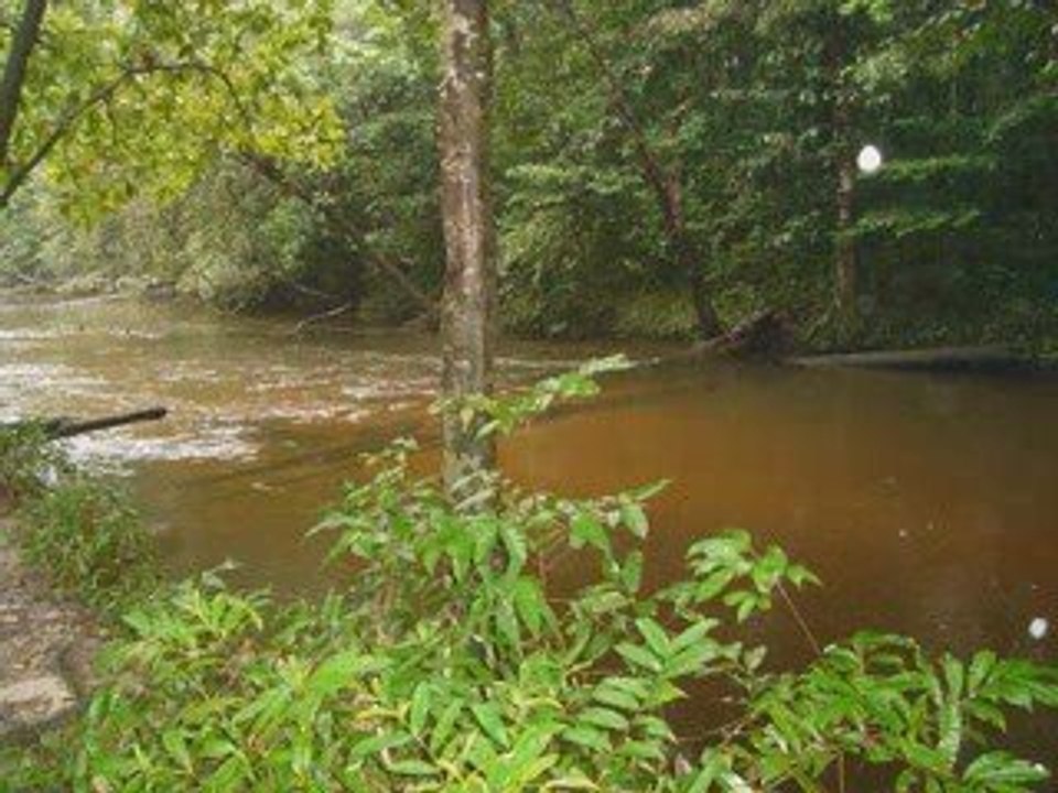 La guyane