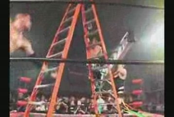 Briscoes vs. Steenerico