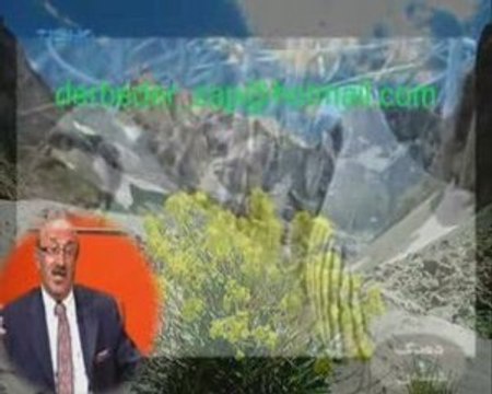 ıhsan colemerg derbeder_zap tan