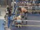 Ric Flair VS Terry Funk - I Quit Match - Partie 1