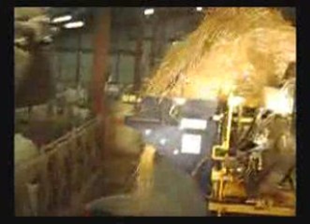 Warzee demeleuse derouleuse