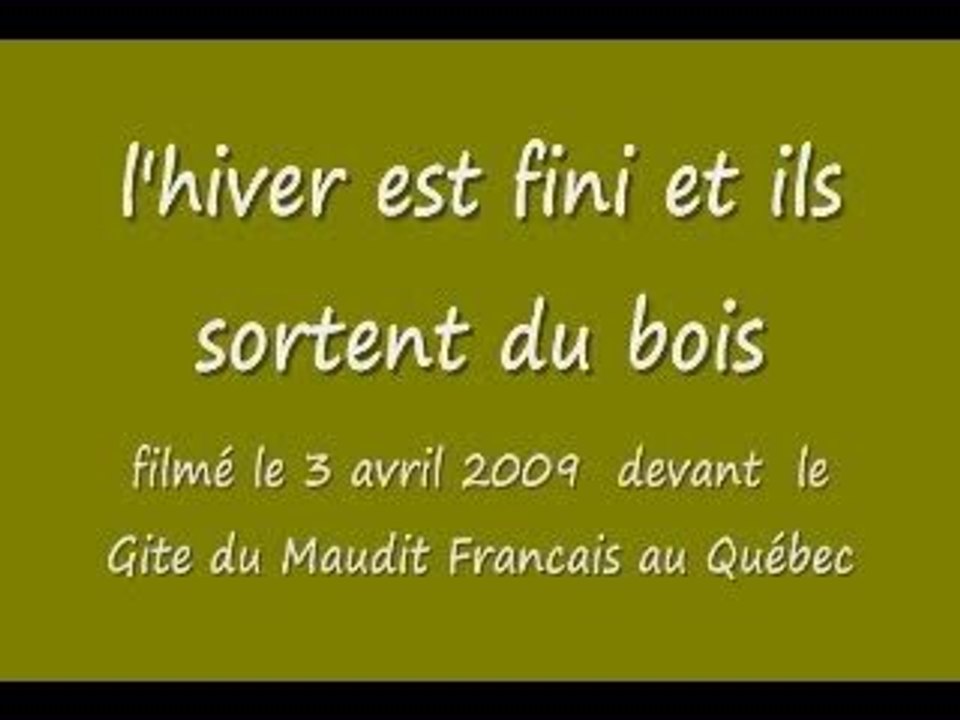 les cerfs de virginie devant chez nous