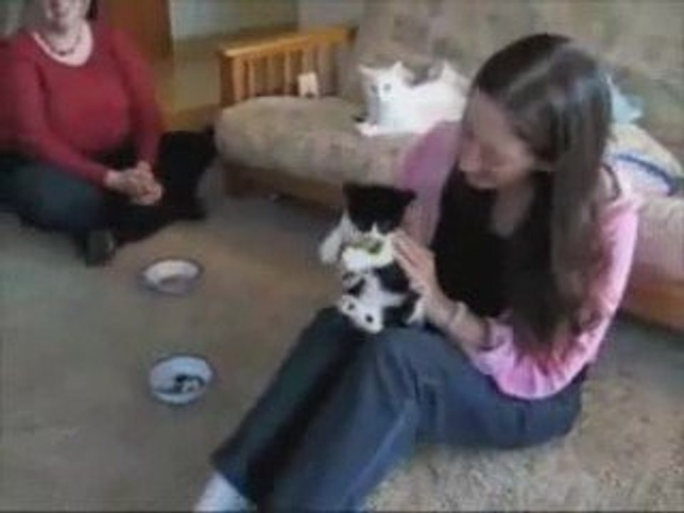 Kitten LOVES Broccoli!_