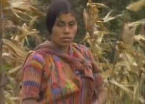 Les royaumes perdus des mayas (4/4)