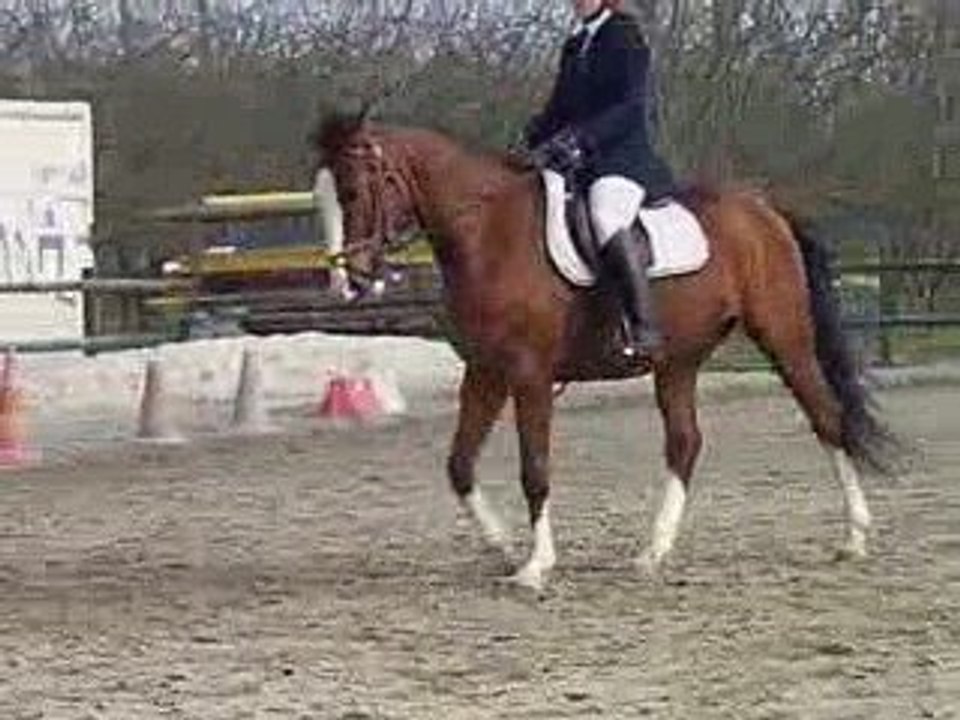 Reprise dressage  CCE Club1