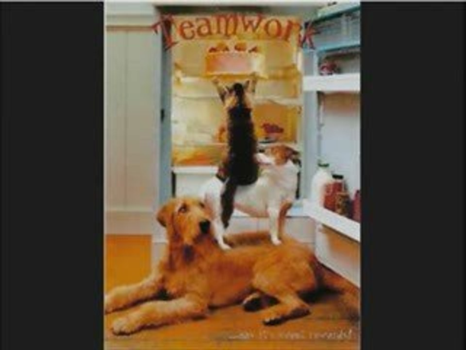 make money online.teamwork revolution