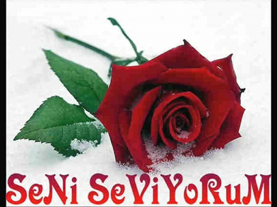 EsEn