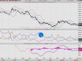 BLE EURONEXT 04.03.09