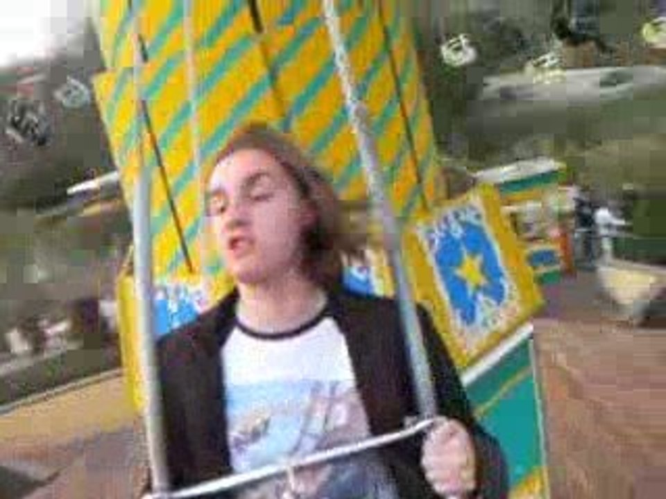 I Believe i can fly à Walygator!