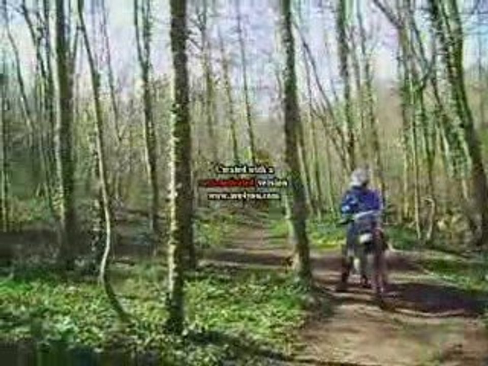 Enduro