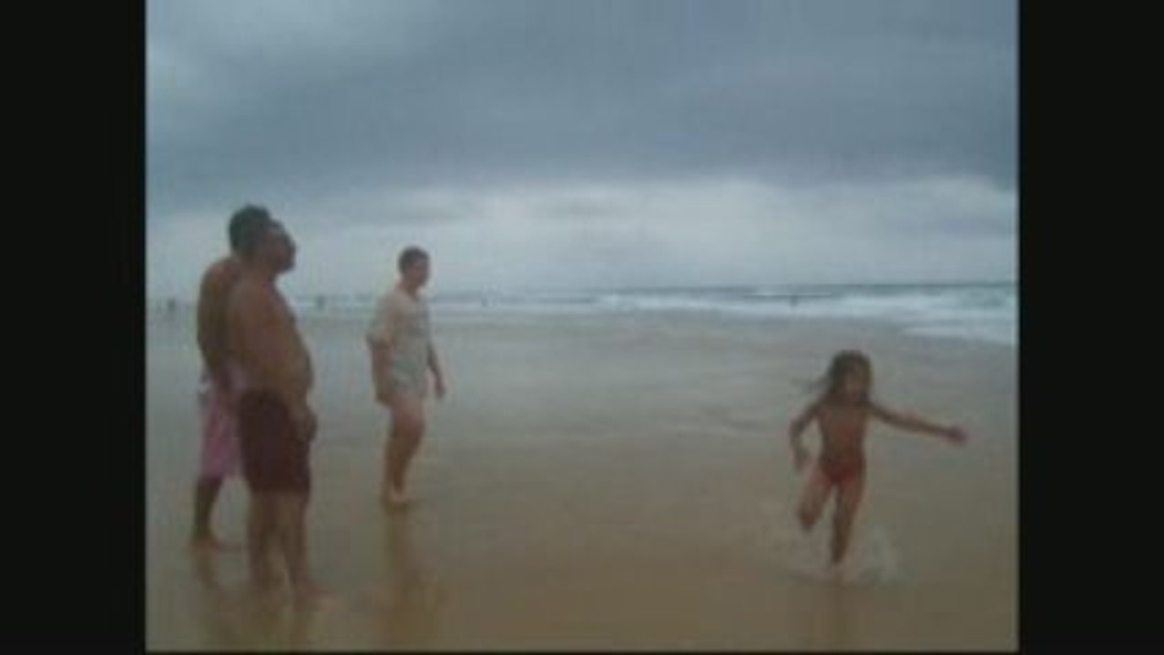 LES SURFEURS