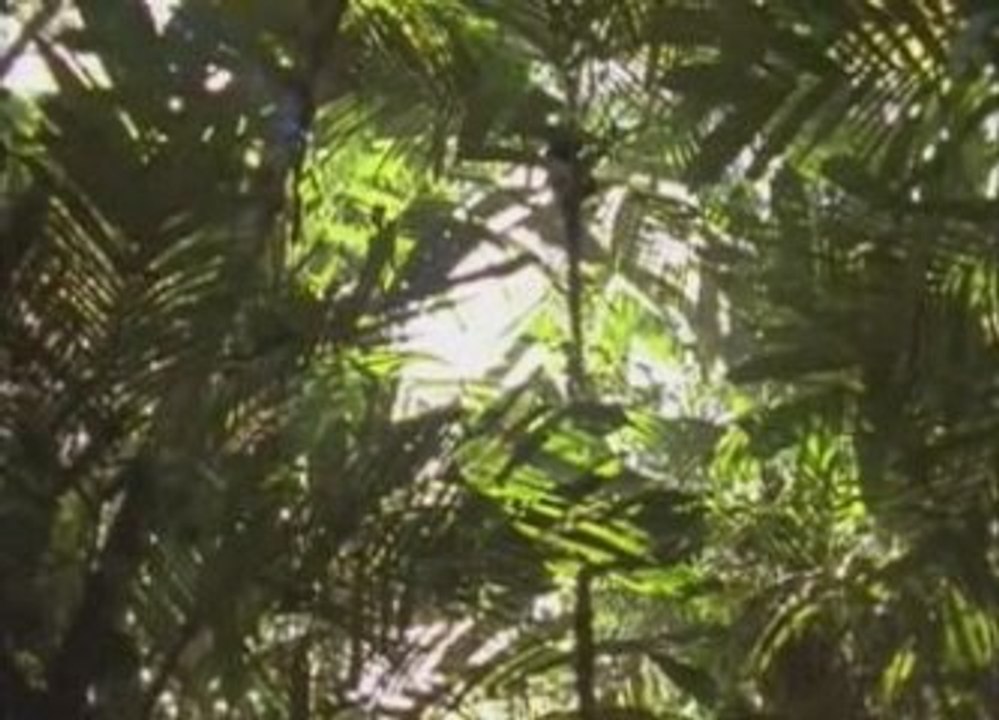 Les royaumes perdus des mayas (3/4)