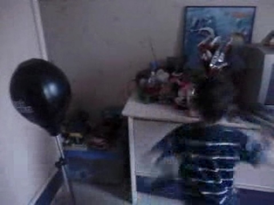 coco boxe