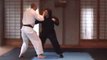Graham Slater Karate Techniques 1 - Martial Arts TV