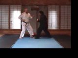 Sensei Graham Slater Karate Techniques 4 - Martial Arts T...