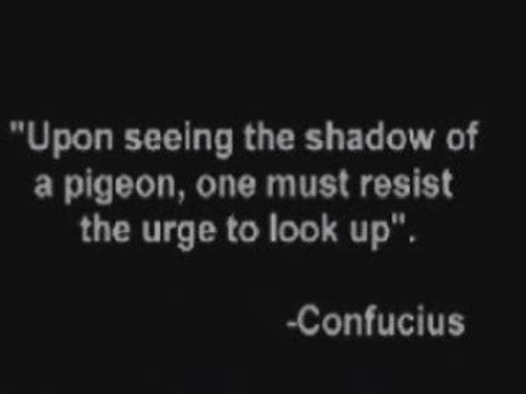 Scheisstag Dusche / SHIT DAY SHOWER