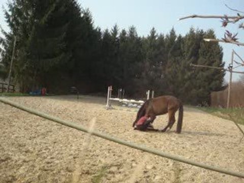 Scéances du 1 et 3 avril