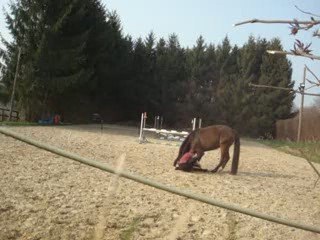 Scéances du 1 et 3 avril