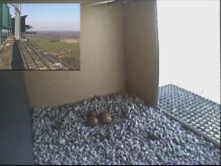 300309.14.37 wisseling