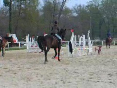 1ier reprise de dressage