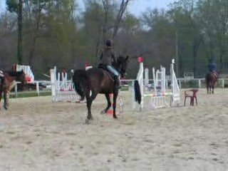 1ier reprise de dressage