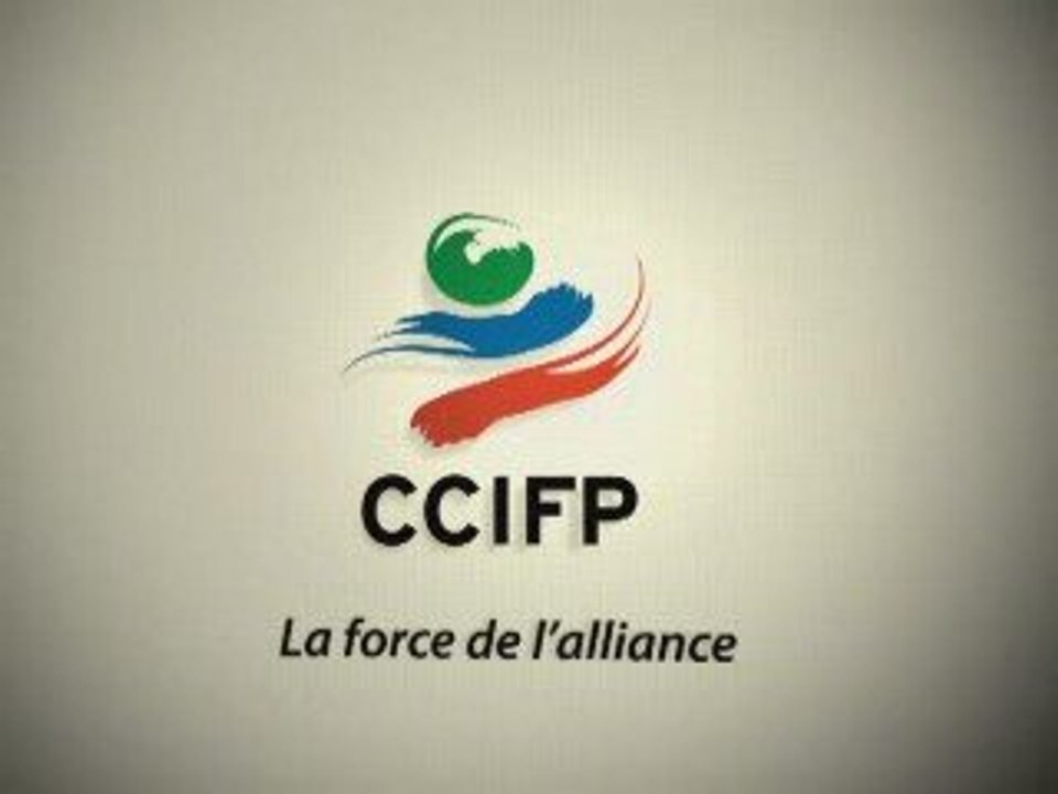 Actions 2008 CCIFP