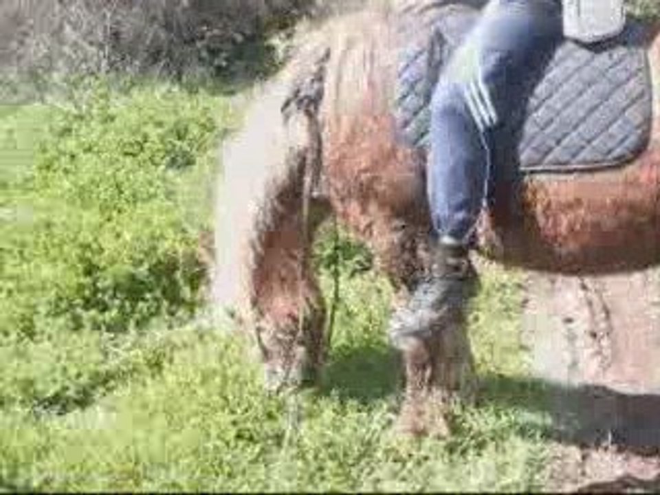 Acte 2 - Mangeâge de Branches