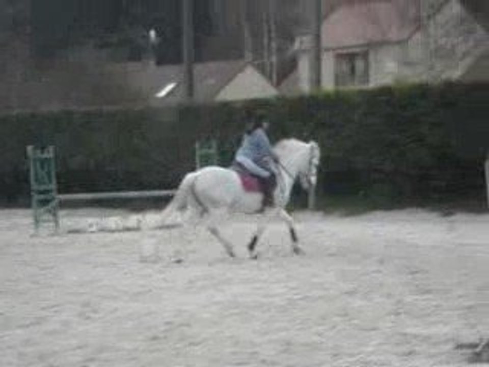 Concours 4.04.09 045