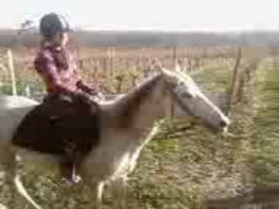 BAlade