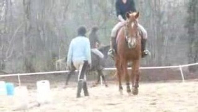 Kessy et Moi en Licol Ethologique au saut