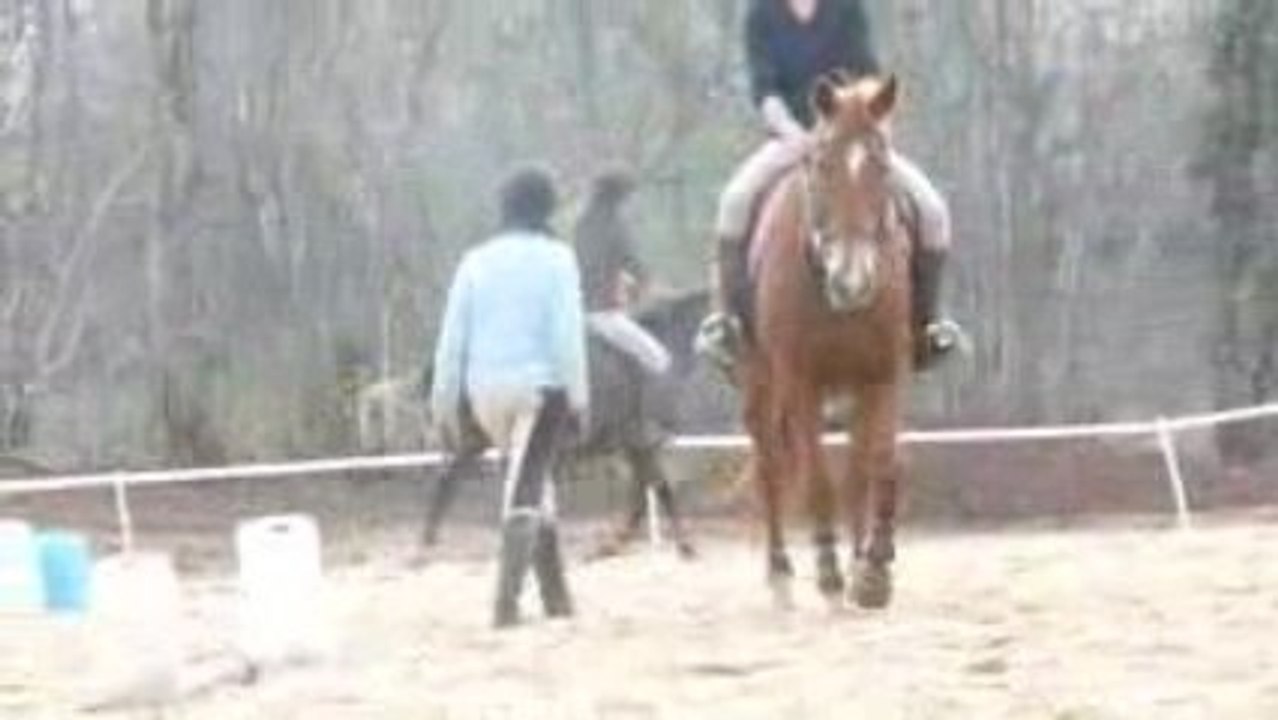 Kessy et Moi en Licol Ethologique au saut