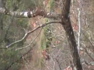 Blacks Eagles : Première Embuscade Épique à Ne Pas Manquer 🦅