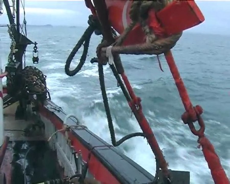 Pêche à la coquille Saint Jacques  baie de Saint Brieuc