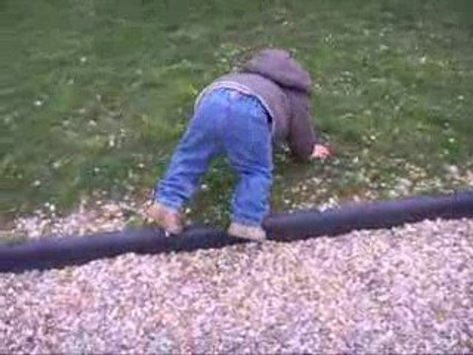 Alan 18 mois au parc