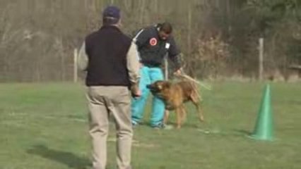 Sélectif Mardié 2009