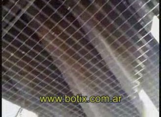 www.botix.com.ar pajaros en galeria de restaurant
