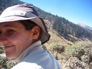 Sur le camion todos santos