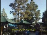 www.botix.com.ar Palomas en estructura de madera