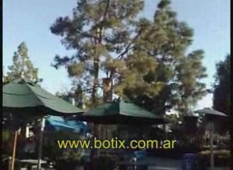 www.botix.com.ar ahuyentar palomas de viga madera