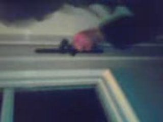 Fevrier 2009 (L)