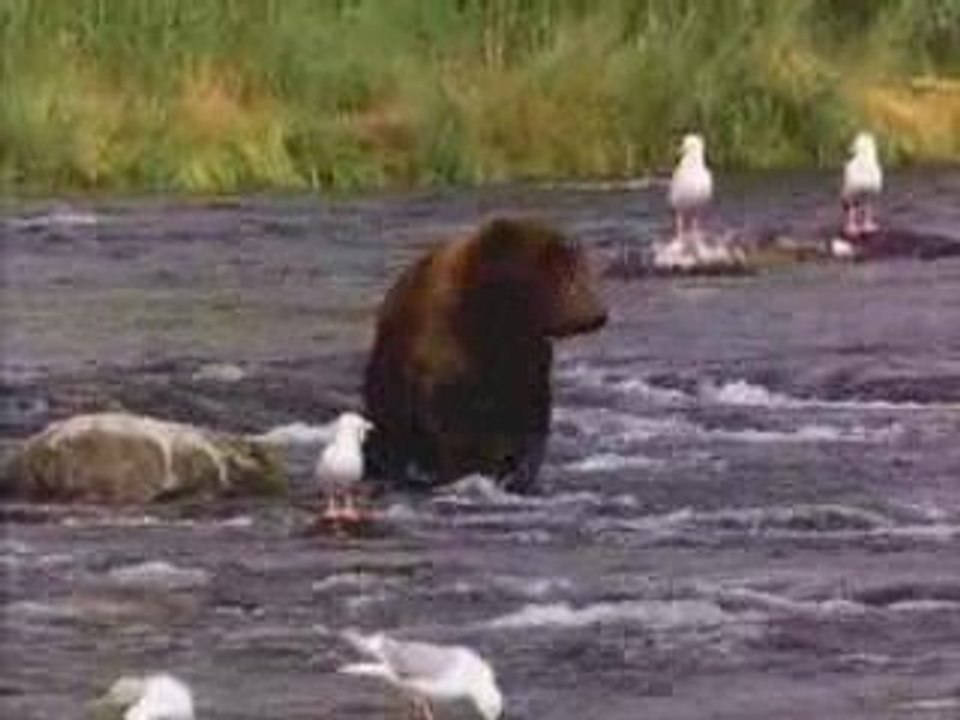 TubeMogul Testing (further)