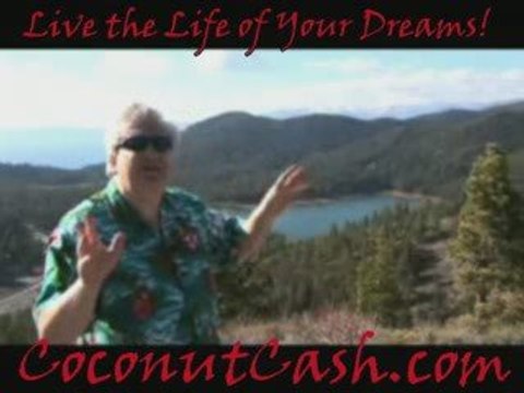 Create Your Own Self Directed Retirement Plan With Zurvita!