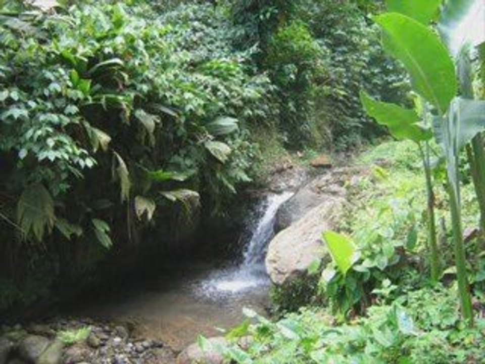 PERSONNE NE PEUT T'AIMER