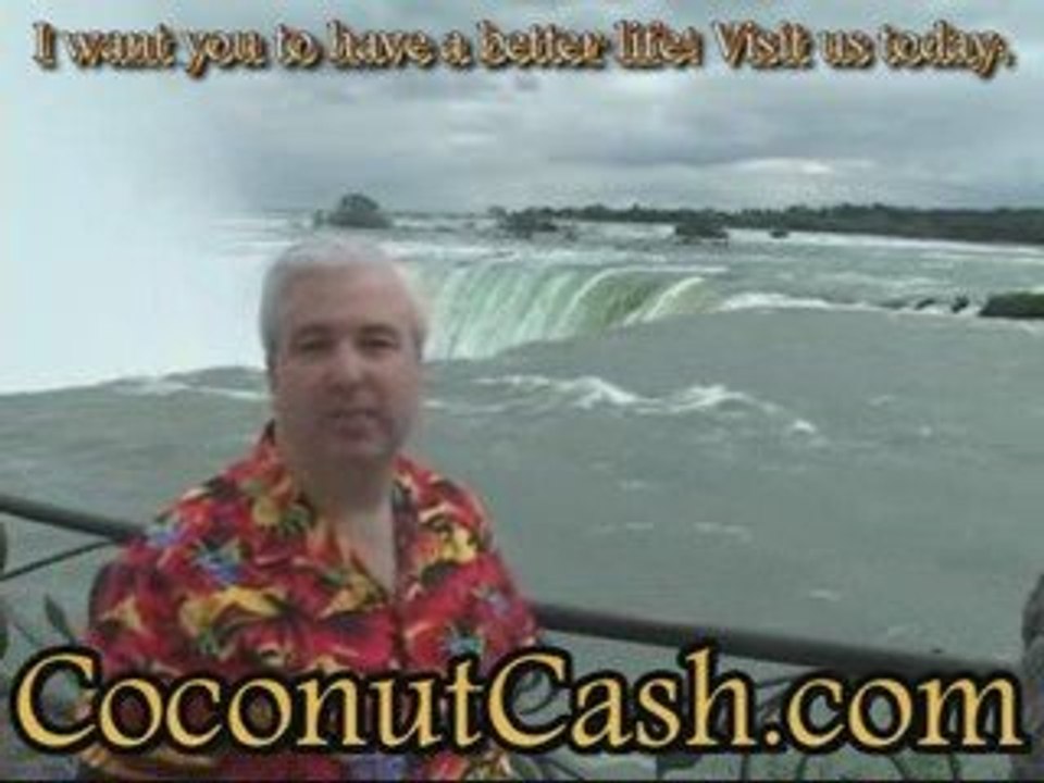 Zurvita-Home Business Income Opportunity