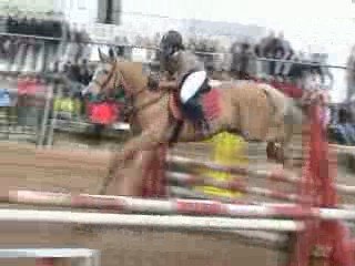 cso 29.03.09 club 2 avec Helma - - - -  1ère place !!!!